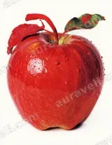 Red Apple Canvas Wall Art for Living Room Bedroom Home Decor living room wall art for modern home decor