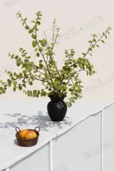 Green Plant in Black Vase Canvas Wall Art for framed modern home decor