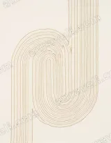 Abstract Curve Line Canvas Wall Art for Living Room framed modern home decor