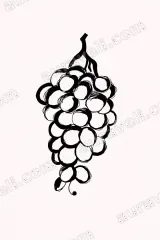 Grapes Sketch Canvas Wall Art for Living Room Bedroom framed modern home decor