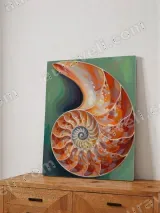 Colorful Nautilus Shell Canvas Wall Art for Living Room Home Decor – view 4