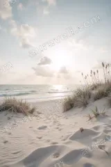Sunrise Beach Sand Dune Ocean Canvas Wall Art for framed modern home decor