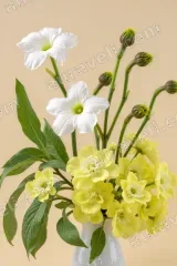White Yellow Floral Bouquet Canvas Wall Art for Living and framed modern home decor