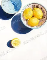 Lemons & Colanders Still Life Canvas Wall Art for Kitchen Home Decor living room wall art for modern home decor