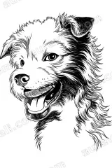 Happy Dog Black White Line Art Canvas Wall and framed for modern home decor