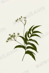Minimalist Botanical Floral Canvas Wall Art for Living Room framed modern home decor