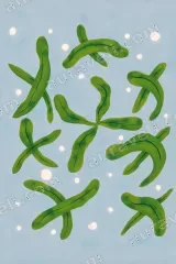 Abstract Green Botanical Canvas Wall Art for Living Room framed modern home decor