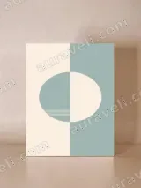 Minimalist Geometric Split Circle Canvas Wall Art for Home Decor – view 4