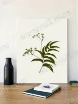 Minimalist Botanical Floral Canvas Wall Art for Living Room Decor
