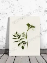 Botanical Green Leaves Canvas Wall Art for Living Room Home Decor