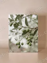 Green Olive Branch Canvas Wall Art for Living Room Home Decor – view 4