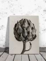 Artichoke Botanical Canvas Wall Art for Living Room Decor