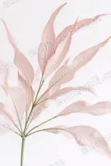 Pink Botanical Leaf Canvas Wall Art for Living Room framed modern home decor