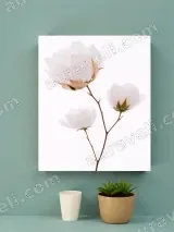 White Cotton Flower Canvas Wall Art for Living Room & Bedroom Home Decor