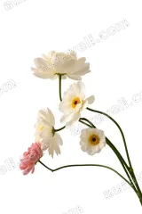 White Pink Floral Canvas Wall Art for Living Room and framed modern home decor